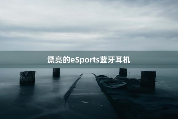 漂亮的eSports蓝牙耳机